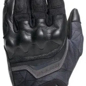 Dainese Motorbike Gloves