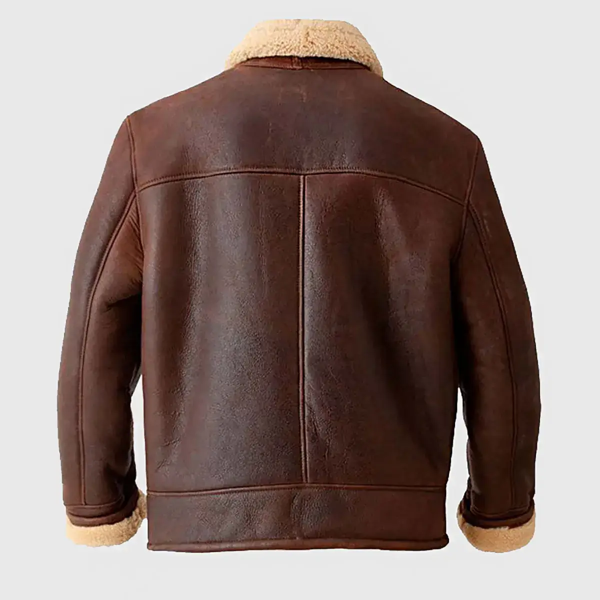 Brown Leather Bomber Jacket Back Side View